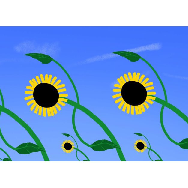 Après la pluie ? / Tournesol 1